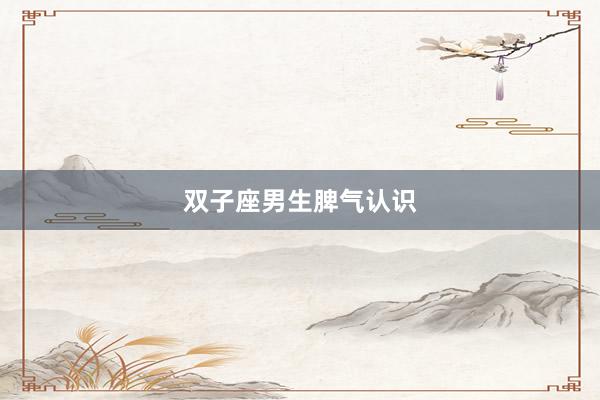 双子座男生脾气认识