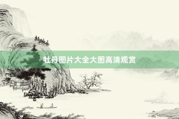 牡丹图片大全大图高清观赏