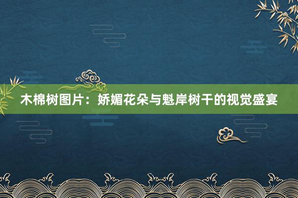 木棉树图片：娇媚花朵与魁岸树干的视觉盛宴