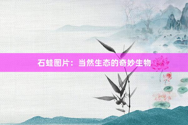 石蛙图片：当然生态的奇妙生物
