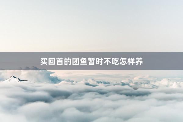买回首的团鱼暂时不吃怎样养