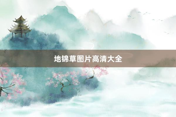 地锦草图片高清大全